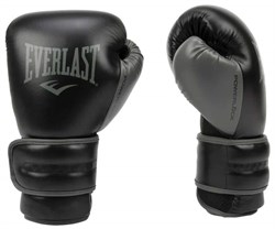Боксерские перчатки Everlast 2423